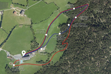 NEU ab Mai 2025 im Huberhof – Neue Highlights für Ihren Aufenthalt NEU ab Mai 2025 im Huberhof – Neue Highlights für Ihren Aufenthalt