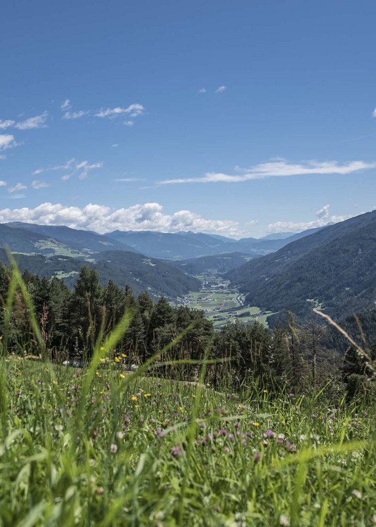 Le escursioni a Maranza? Un sogno! Le escursioni a Maranza? Un sogno!