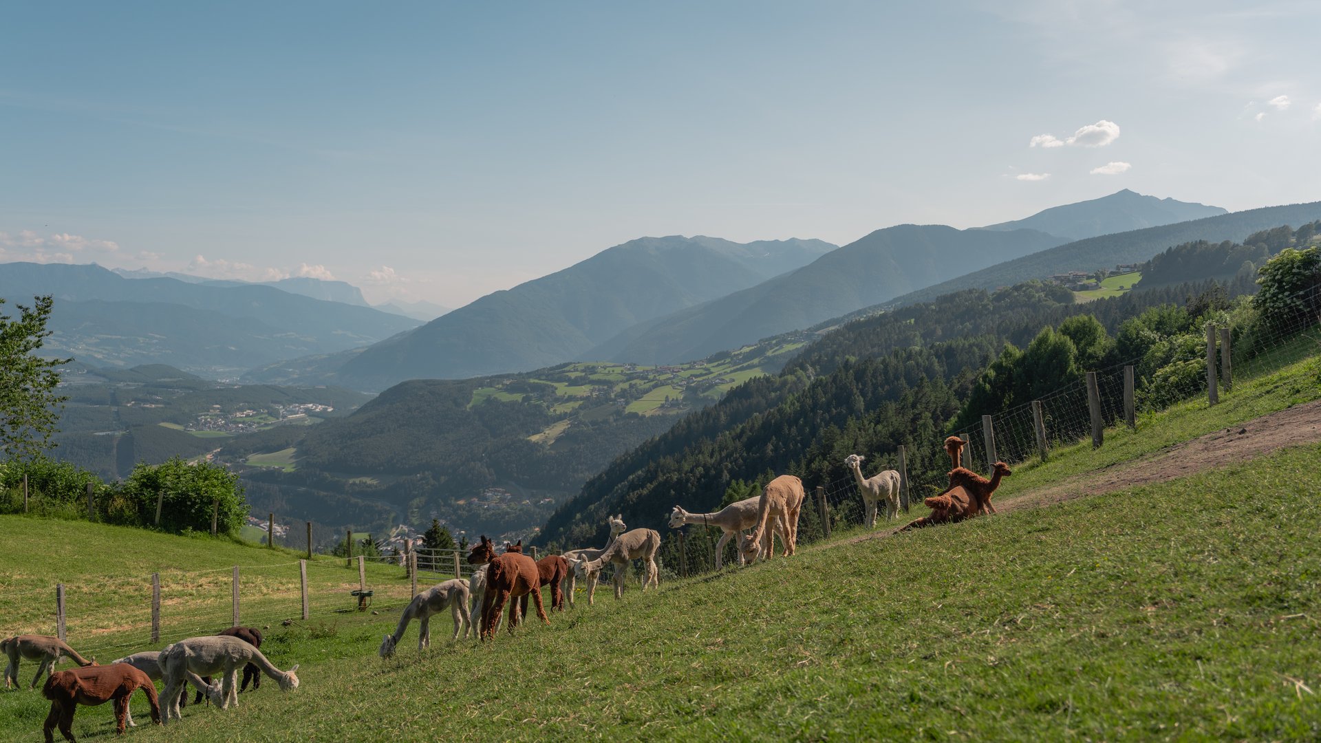 Hotel with 4 stars in South Tyrol: services Hotel with 4 stars in South Tyrol: services