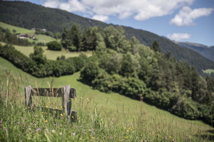 Huberhof „green deal“ for future. Unser Nachhaltigkeitskonzept im Panoramahotel Huberhof. Huberhof „green deal“ for future. Unser Nachhaltigkeitskonzept im Panoramahotel Huberhof.