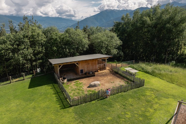 Der Streichelzoo am Gitschberg Der Streichelzoo am Gitschberg