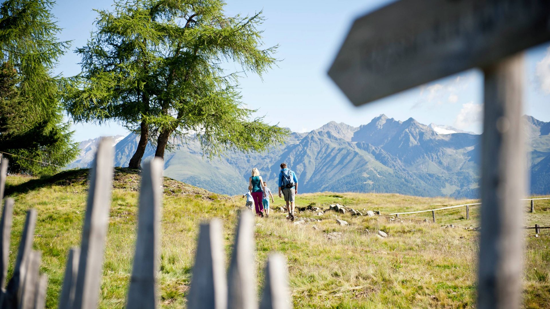 Activities at your hotel in South Tyrol with pool
