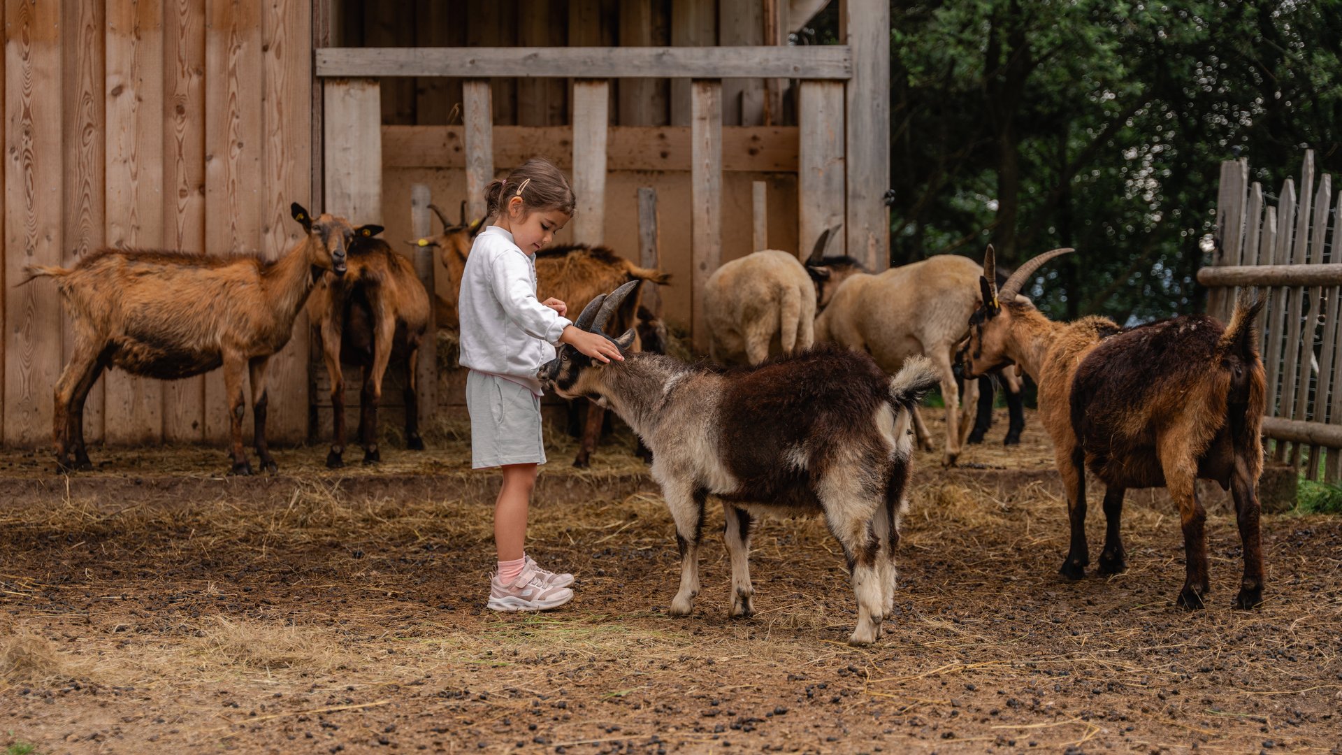 Hotel mit 4 Sternen in Südtirol: Services Hotel mit 4 Sternen in Südtirol: Services