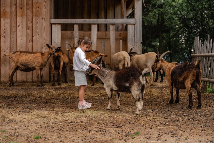 Hotel mit 4 Sternen in Südtirol: Services Hotel mit 4 Sternen in Südtirol: Services