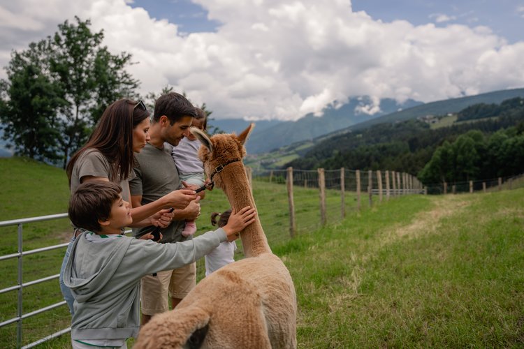 Der Streichelzoo am Gitschberg Der Streichelzoo am Gitschberg