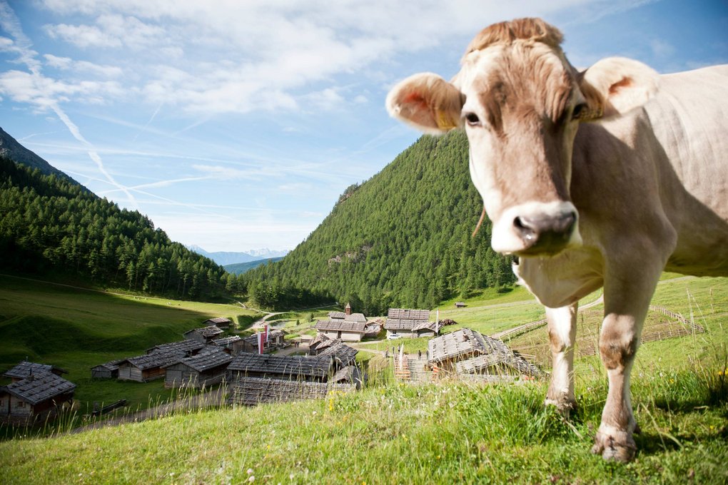 Hiking in Meransen in South Tyrol: simply wonderful Hiking in Meransen in South Tyrol: simply wonderful